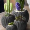 گلدان تزئینی برای ست گرد پلاستیکی کاکتوس 4lu مرجانی آب سیاه برند TEMMUZ HOME کد 1721199327