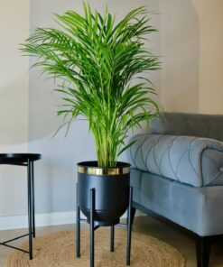 گلدان جا گلدانی تزئینی فلزی طرحدار طلایی مشکی پایه‎دار برند Özge design کد 1726649452