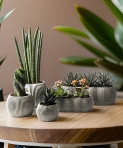 گلدان ست مدرن تزئینی 5تکه مرجانی آب سیاه برند TEMMUZ HOME کد 1728458173