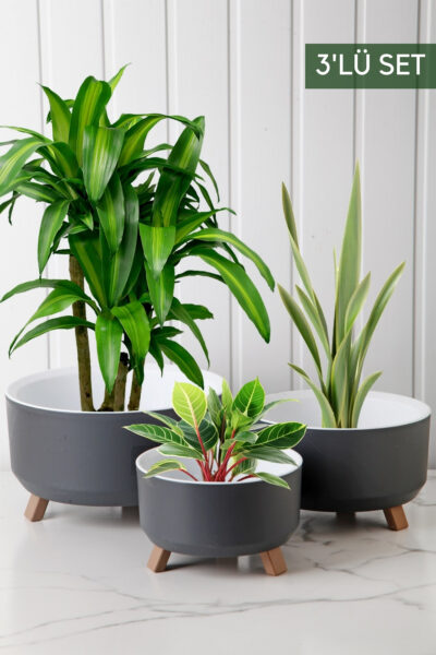 گلدان ست مدل سه پایه برند Nandy Home کد 1729072289