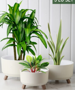 گلدان ست مدل سه پایه برند Nandy Home کد 1729072267