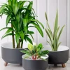 گلدان ست مدل سه پایه برند Nandy Home کد 1729072289