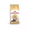 2کیلو گربه خشک بالغ فارسی برند Royal Canin کد 1729414421
