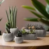 گلدان ست مدرن تزئینی 5تکه مرجانی آب سیاه برند TEMMUZ HOME کد 1728458173