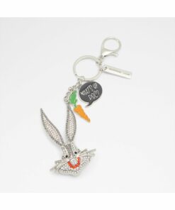 جا کلیدی نقره زنانه برند Aldo کد 1740237905