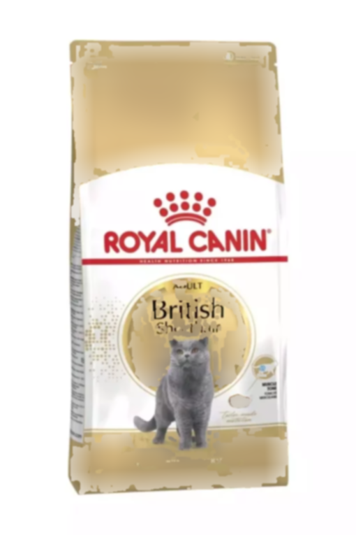 گربه 2کیلو موی کوتاه بریتانیایی برند Royal Canin کد 1740991933