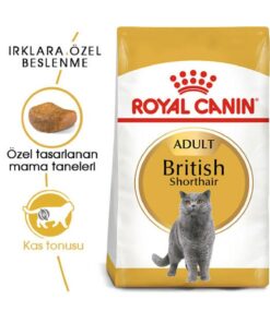 غذای خشک مخصوص گربه بالغ بریتیش شورت هِر، 2 کیلوگرم، تاریخ انقضا 04/2024 کد 1741850473