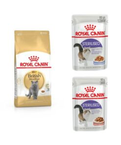 کفاله غذایی بالغ بریتیش شورت هیر 2 کیلوگرم و 2 عدد کنسرو غذای گربه عقیم شده 85 گرم. کد 1741850586