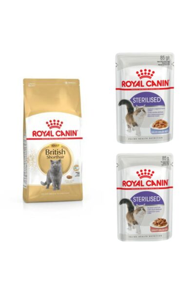 کفاله غذایی بالغ بریتیش شورت هیر 2 کیلوگرم و 2 عدد کنسرو غذای گربه عقیم شده 85 گرم. کد 1741850586