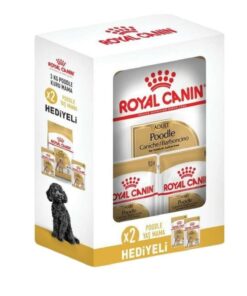 پودر غذای سگ بزرگسال پودل، ۳ کیلوگرم، با ۲ عدد کنسرو غذای رایگان. کد 1741845365