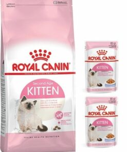 جعبه سن 2عدد 2کیلو گربه با هدیه بچه برند Royal Canin کد 1740991389