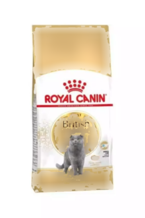 2کیلو گربه بالغ موی کوتاه بریتانیایی برند Royal Canin کد 1740993129