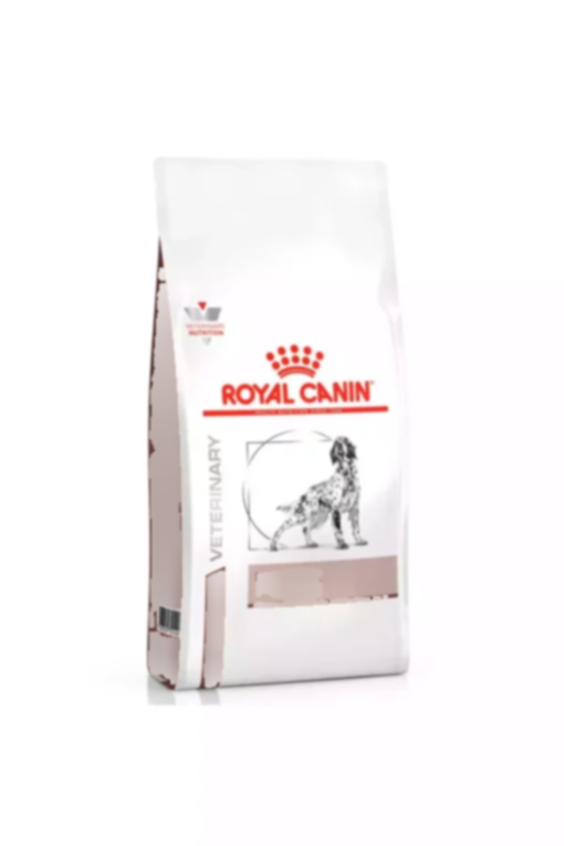 1.5کیلو خشک سگ از پت شاپ کبدی وابسته به دامپزشکی برند Royal Canin کد 1741848064