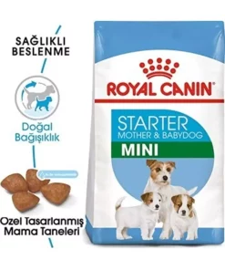 کوچک 4کیلو سگ نژاد بچه کودک برند Royal Canin کد 1741848063