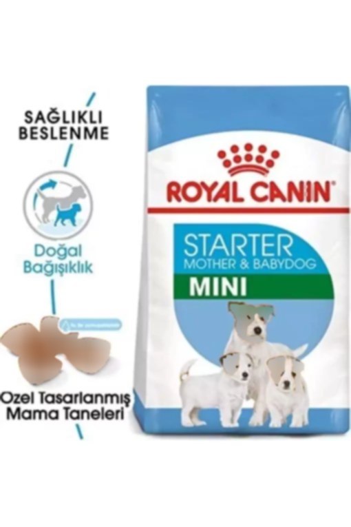 کوچک 4کیلو سگ نژاد بچه کودک برند Royal Canin کد 1741848063