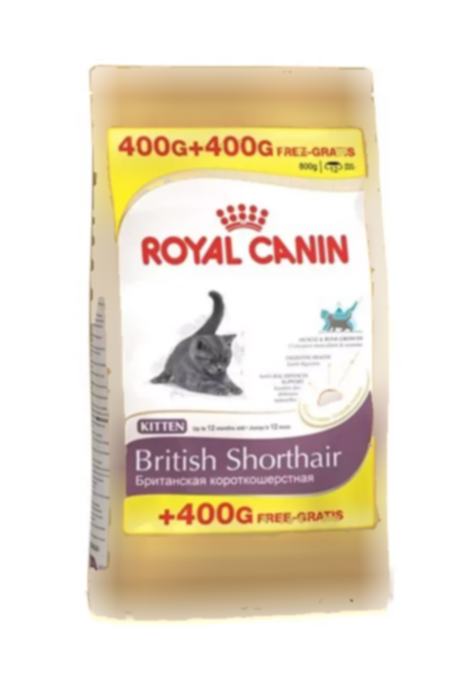 بسته 4000 گربه جایزه موی کوتاه بریتانیایی برند Royal Canin کد 1740991932