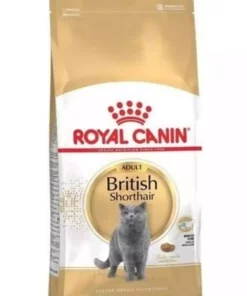 گربه بالغ موی کوتاه بریتانیایی برند Royal Canin کد 1741850472