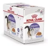 سن رویال مشت زدن استریل شده خون شما برند Royal Canin کد 1740991632