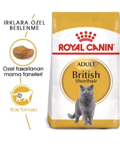 2کیلو ویژه گربه خشک موی کوتاه بریتانیایی برند Royal Canin کد 1741850473