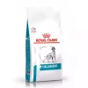 3کیلو خشک سگ بی ارزش وابسته به دامپزشکی برند Royal Canin کد 1741845368