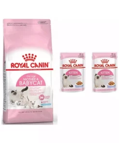 نئو کودک 2عدد گربه 4کیلو بچه برند Royal Canin کد 1741850592