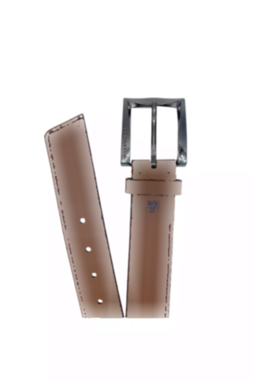 کمربند دار برند U.S. Polo Assn. کد 1745649064
