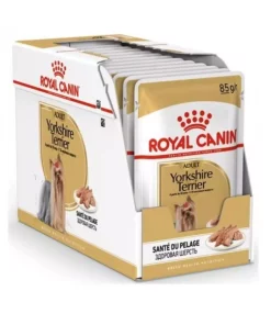 12عدد 850 سگ سن بالغ تریر یورکشایر برند Royal Canin کد 1752211289