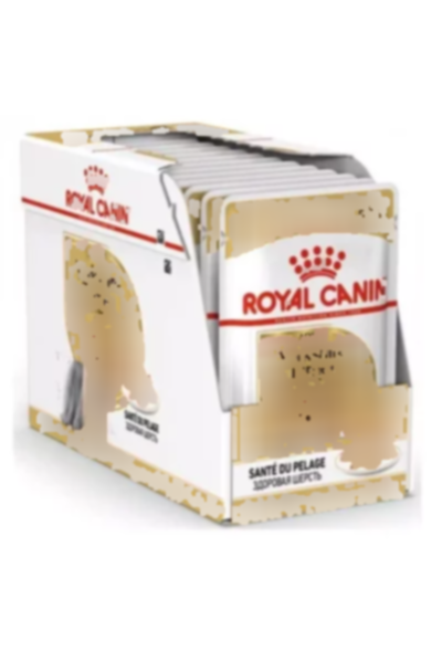 12عدد 850 سگ سن بالغ تریر یورکشایر برند Royal Canin کد 1752211289