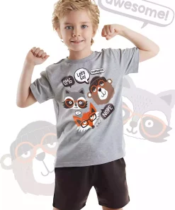 ست شلوارک تیشرت تابستانی پسرانه برند Denokids کد 1753832470