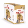 12عدد 850 سگ سن بالغ تریر یورکشایر برند Royal Canin کد 1752211289