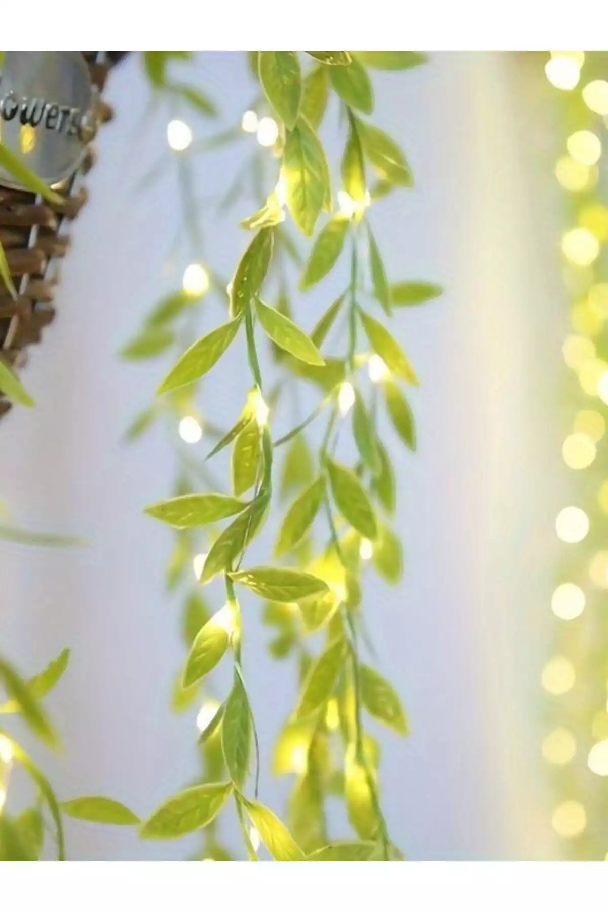 led درخت فرشته 30 50 10 گیاهی پیچک گریان برند ALSHOP کد 1753576570