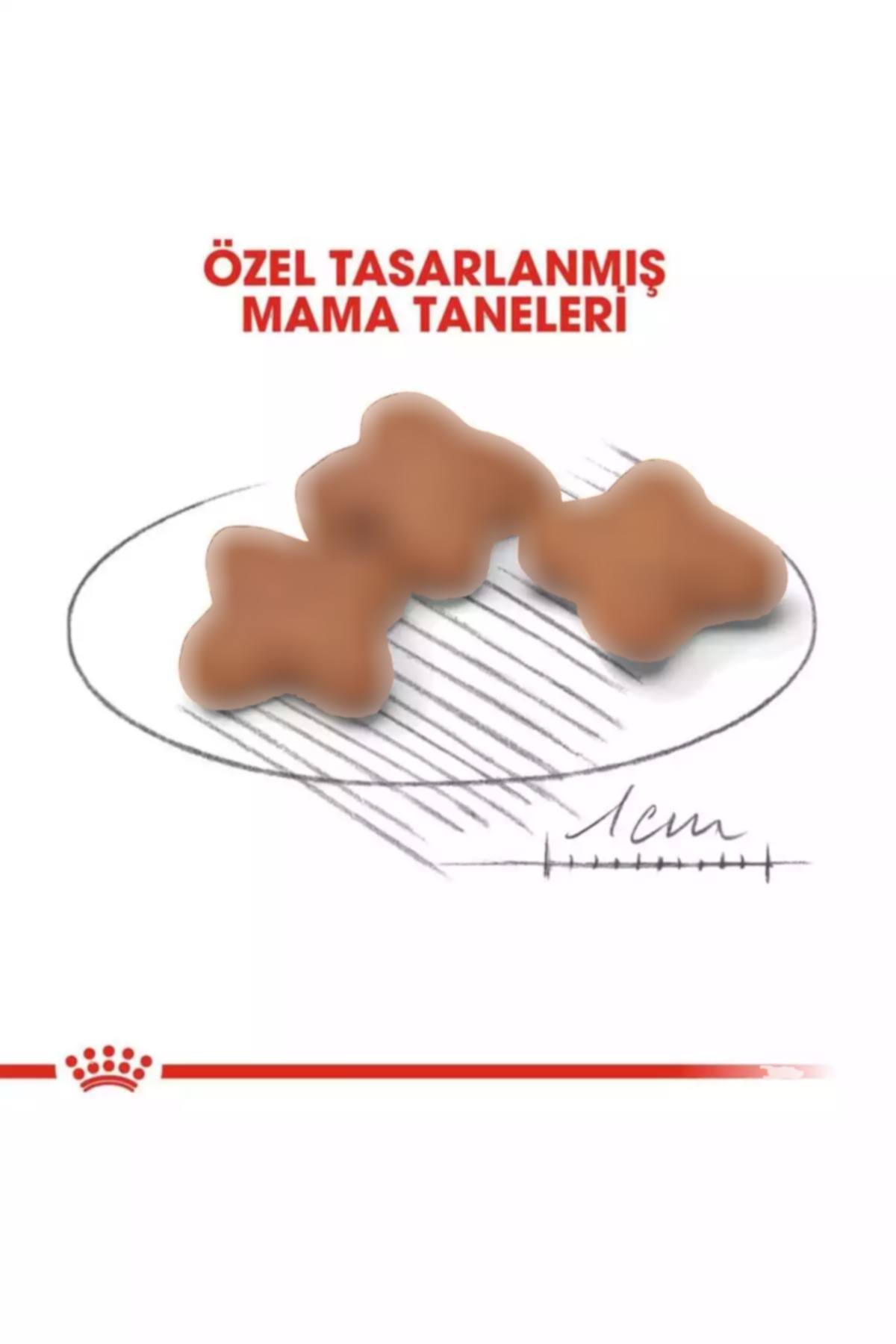 کوچک 2کیلو سگ 8سن قدیمی بالغ برند Royal Canin کد 1752211285