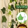 led مصنوعی نور روز 30 فرشته پیچک سبز برگدار 230cm برند ALSHOP کد 1753587667