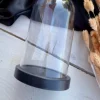 فانوس Terrarium برند ALSHOP کد 1753589468