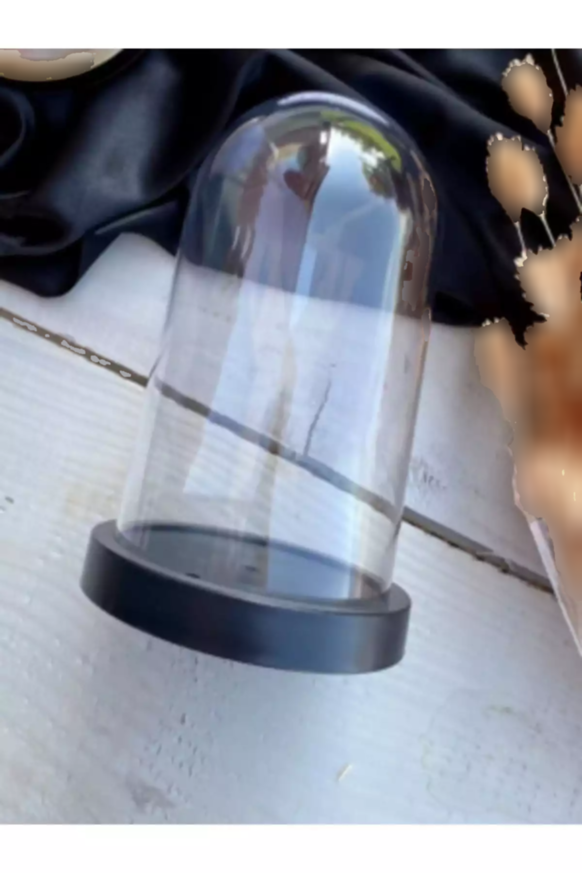 فانوس Terrarium برند ALSHOP کد 1753589468