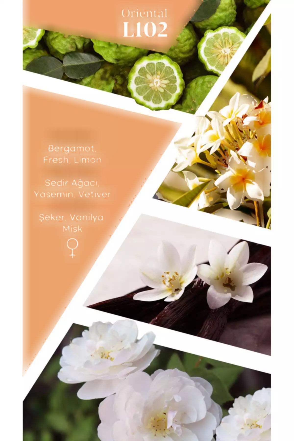 ادکلن 50میلی لیتر انتخابی برند Mad Parfüm کد 1753377670