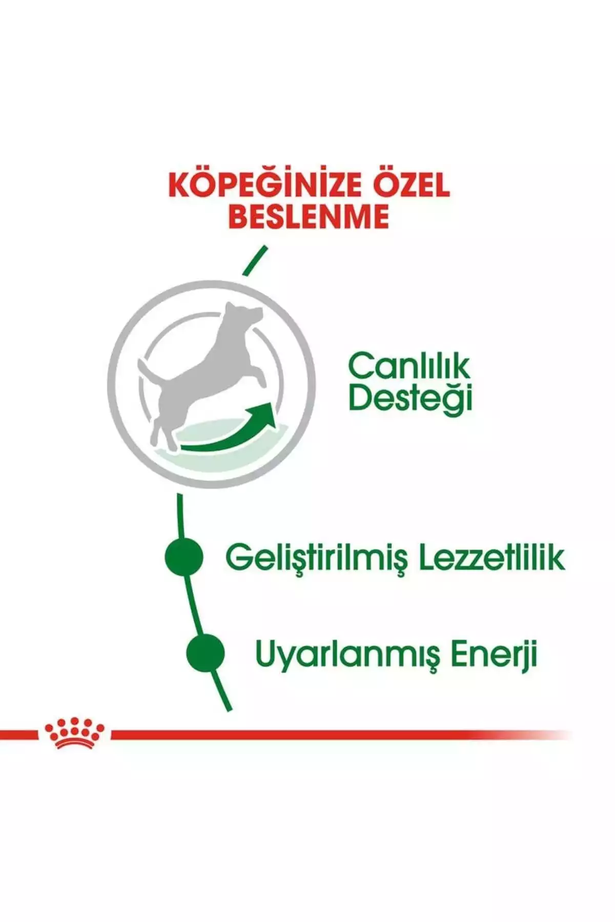 کوچک 2کیلو سگ 8سن قدیمی بالغ برند Royal Canin کد 1752211285