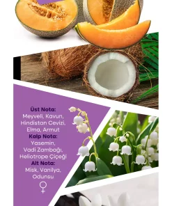 ادکلن 100میلی لیتر انتخابی برند Mad Parfüm کد 1753377729