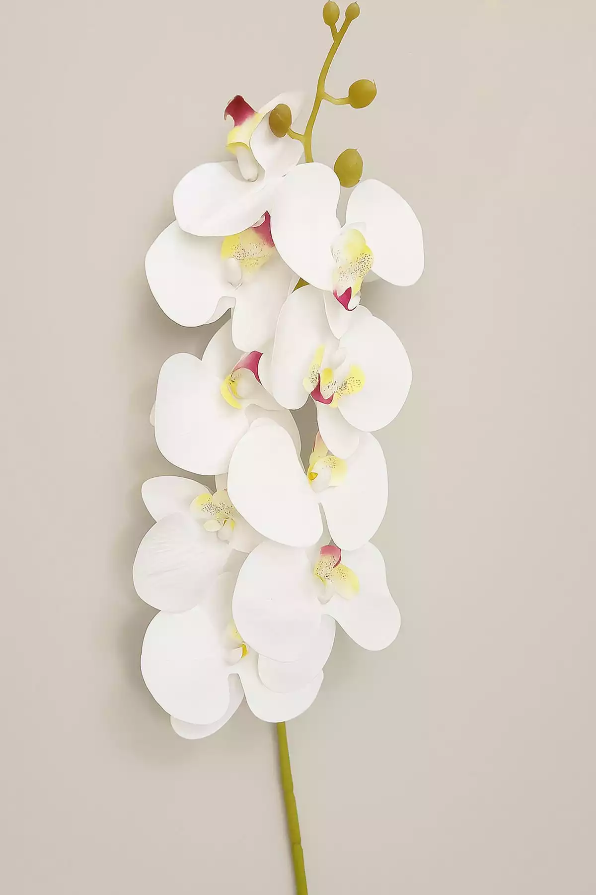 گلدار مصنوعی بزرگ به صورت ارکیده سفید واقعی 85cm برند ALSHOP کد 1753579331