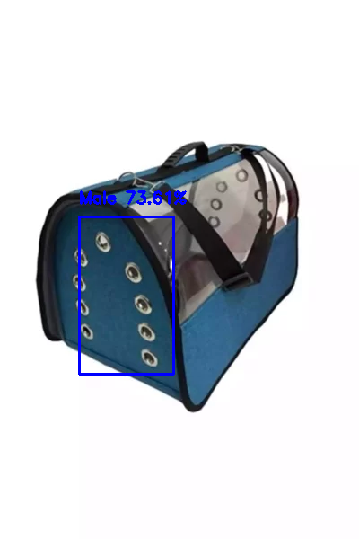 بزرگ شفاف آبی کیف کیسه مگس سانتی متر برند Pet Pretty کد 1753793531