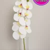 گلدار مصنوعی بزرگ به صورت ارکیده سفید واقعی 85cm برند ALSHOP کد 1753579331