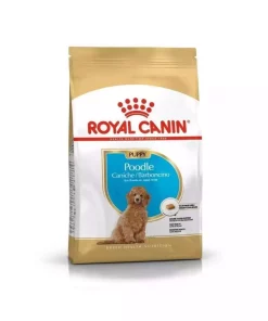 2عدد سگ پاپی نژاد پودل برند Royal Canin کد 1752218050