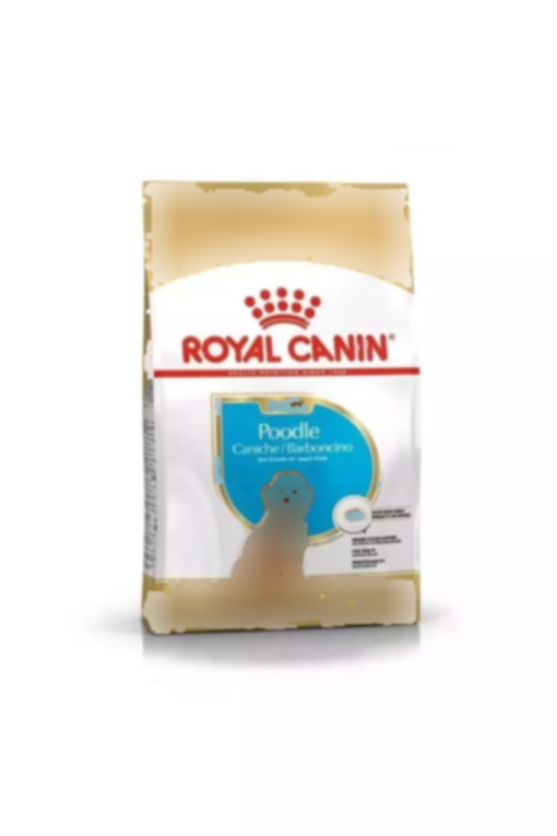 2عدد سگ پاپی نژاد پودل برند Royal Canin کد 1752218050