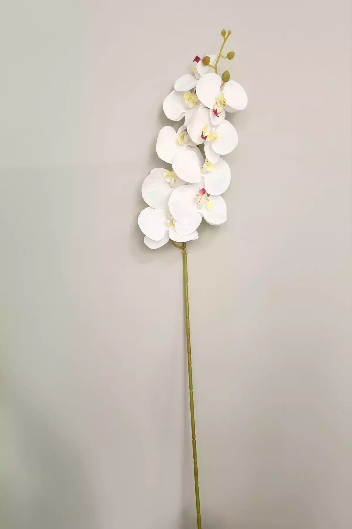 گلدار مصنوعی بزرگ به صورت ارکیده سفید واقعی 85cm برند ALSHOP کد 1753579331