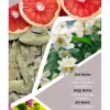 پرفیوم 100میلی لیتر مردانه انتخابی برند Mad Parfüm کد 1753373523