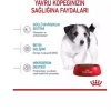 کوچک 4کیلو سگ نژاد توله برند Royal Canin کد 1752217866