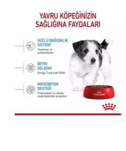 کوچک 4کیلو سگ نژاد توله برند Royal Canin کد 1752217866