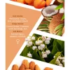 ادکلن 100میلی لیتر انتخابی برند Mad Parfüm کد 1753377668
