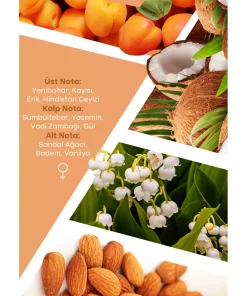 ادکلن 100میلی لیتر انتخابی برند Mad Parfüm کد 1753377668
