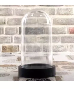 فانوس Terrarium برند ALSHOP کد 1753589468